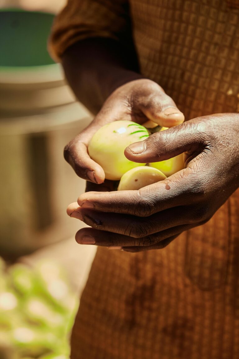 Close-up of hands holding fresh garden eggs in an outdoor market setting in Zaria, Nigeria.